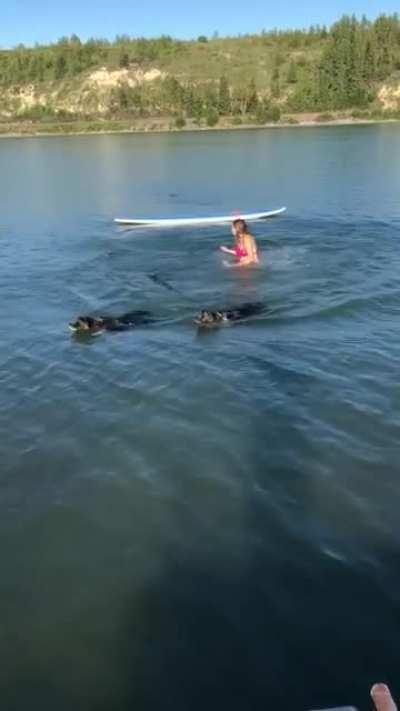 I’m not even mad. My husband is hilarious.