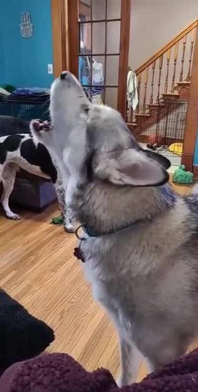 Tornado siren tests or are always interesting!