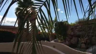 Dancing with friends in simpler times