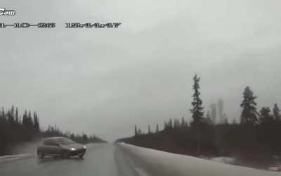 I wonder if the cammer survived