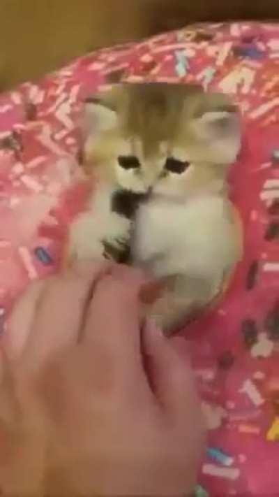 These are my body parts, don't touch them!