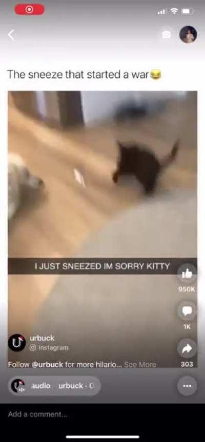 Peace was never a option.