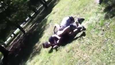 Big girl needs to get her cardio in more. She sounds like shes about to pass out with how hard she is breathing lol