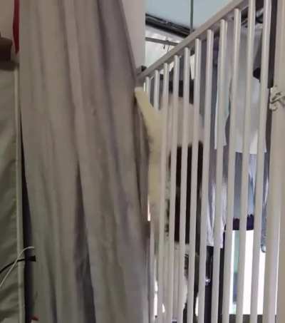 Calculation, a little acrobatics - and you're free