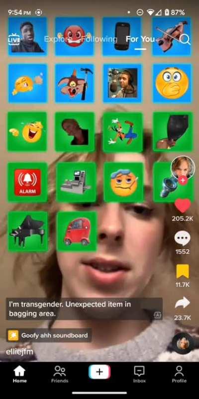 unexpected item in bagging area (elliejfm on TikTok)