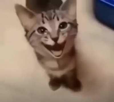 I'm 15 and this is yeet