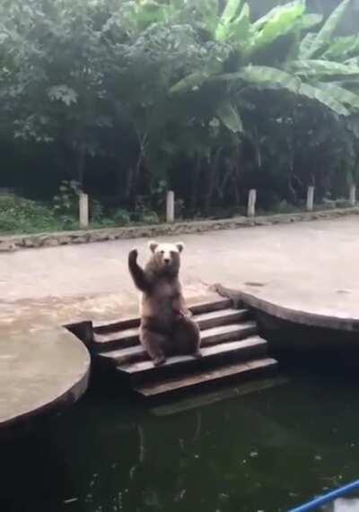 Давай не тупи, кидай вкусняшку!