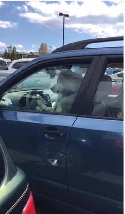 it's already been 5 minutes, let's go.