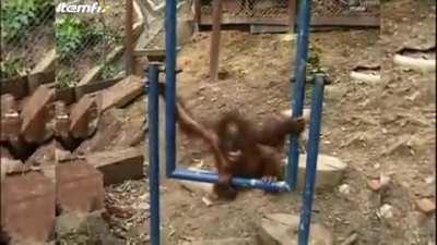 Прям жаль его стало...