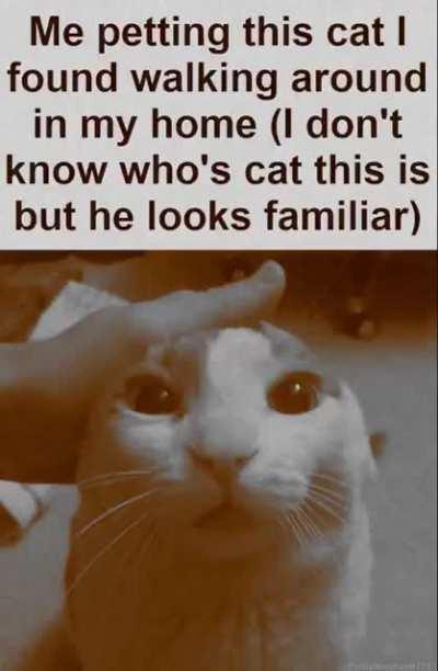 Everywhere at the end of cat