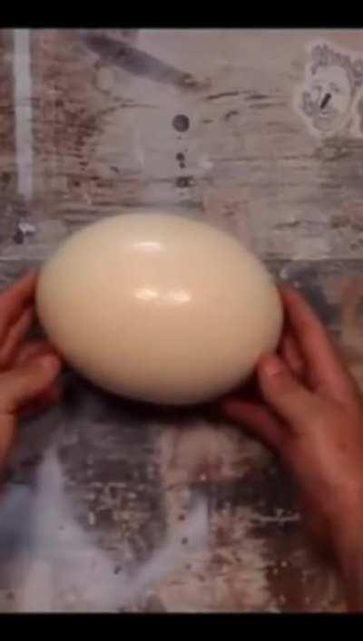 Certified 🥚  moment