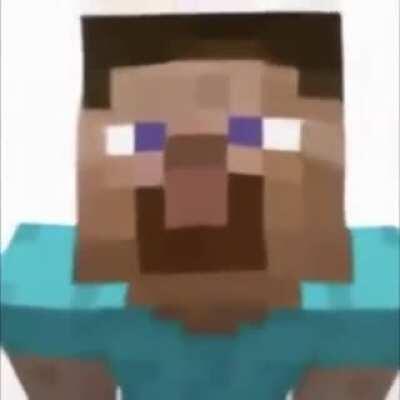 when minecraft