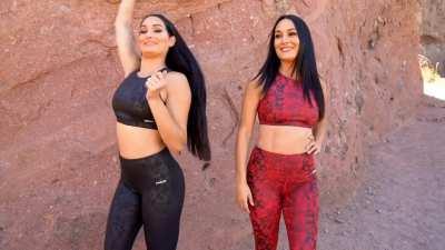 Who would you do? Nikki or Brie?