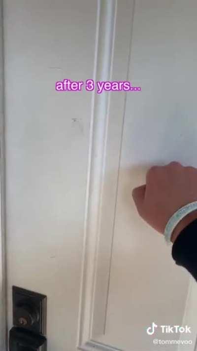 He found his lost cat after 3 years