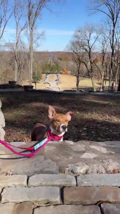 NHA Doggie Date Program.  National Take A Hike Day. November 17th 2025