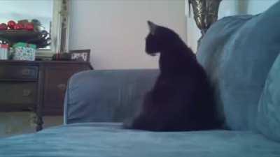 No tengo nada interesante que decir...