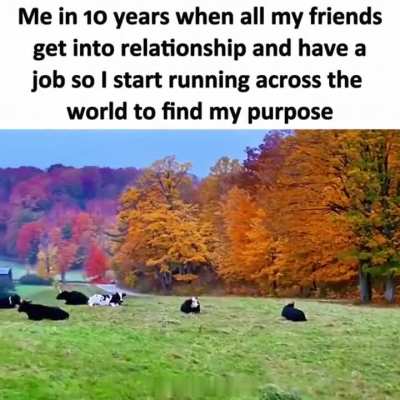 Still searching for a reason...