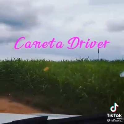 Caneta driver