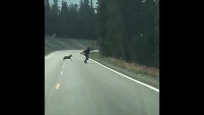 Fighting dogs in Sekiro be like