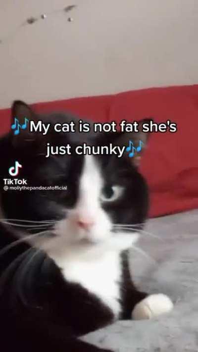 Other people: your cat is way too fat… Me: