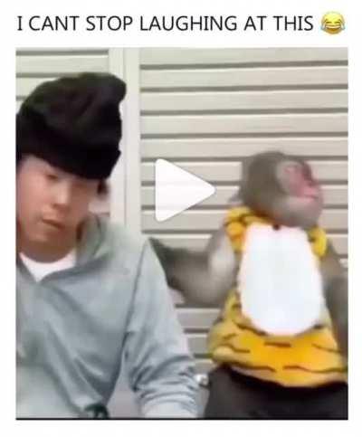 This is NextFuckkkinLevel HILAAARIOUS 💀💀💀💀