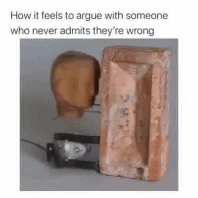 MY HUMAN FRIEND IS VERY GOOD AT discussion.exe