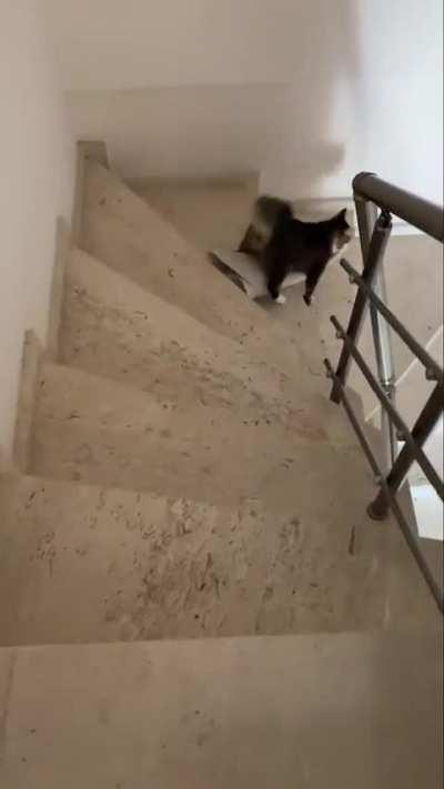 This belongs downstairs