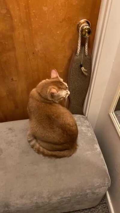 Bleecker adores my daughter and cries outside her room if he can hear her inside. I put the ottoman there to prevent him scratching at the door. So pitiful.