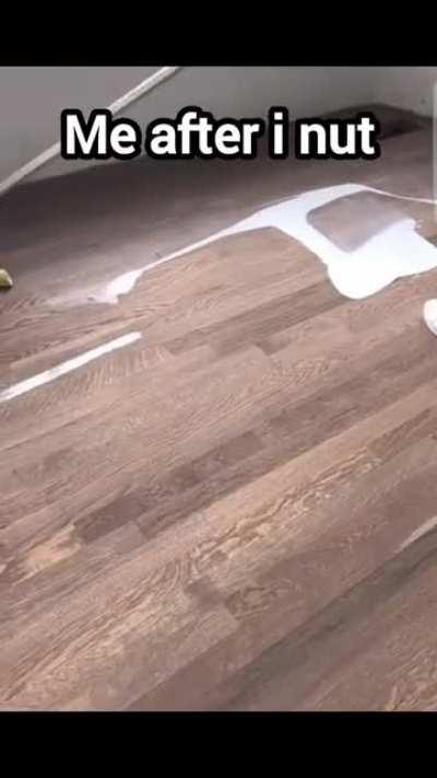 gotta coat the floor