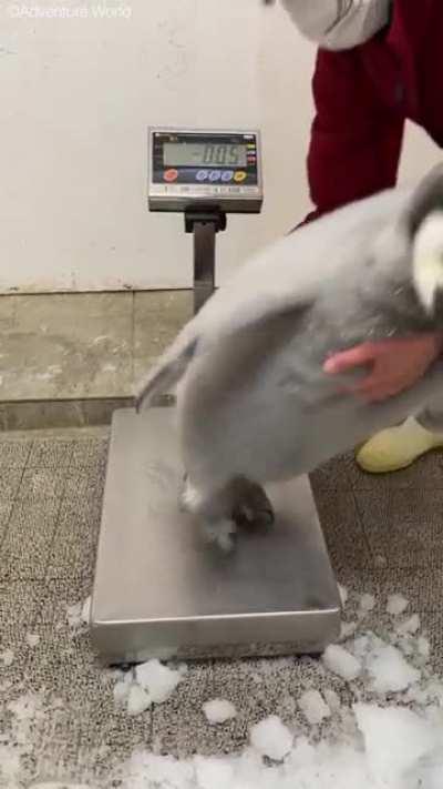 Am big boi, don't worry bout it