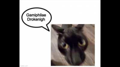 Fuck it im proud of this