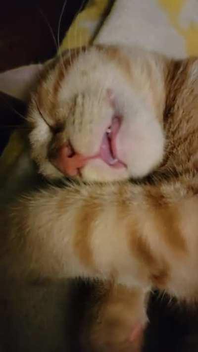 Anyone elses orange do this?