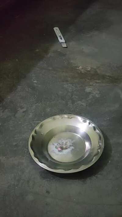 WCGW Testing my electric igniter on Gunpowder