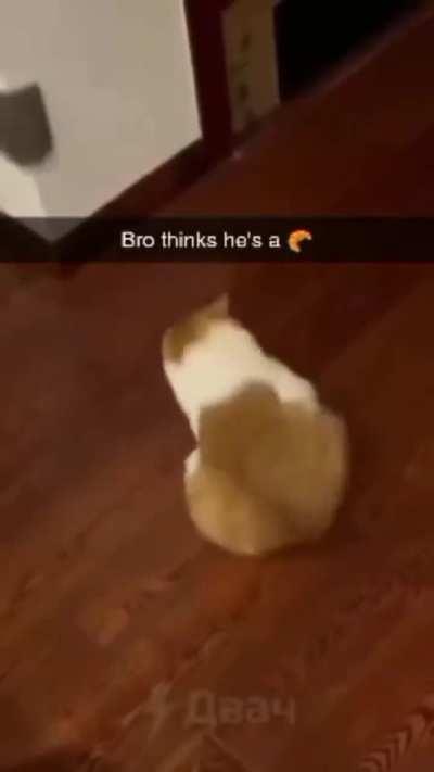 0 Brain cell was used to make this video