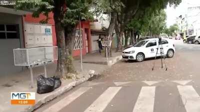 Trying to run away, tree says no