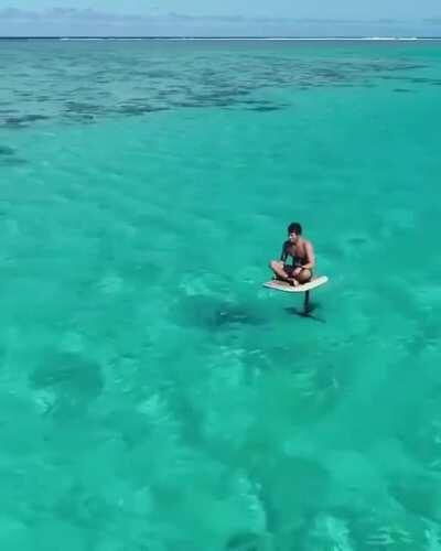 I Found Aladdin In The Maldives.