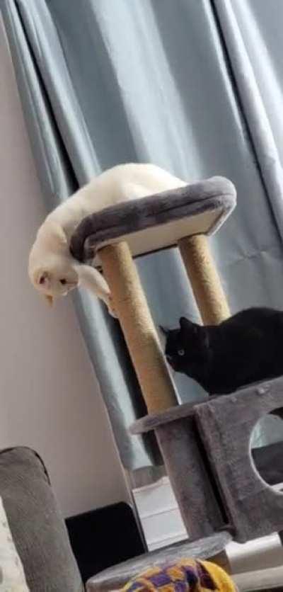 just a liiiiittle farther