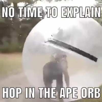 APE ORB(found this randomly in my gallery)