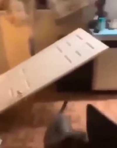 My dog don’t bite💀