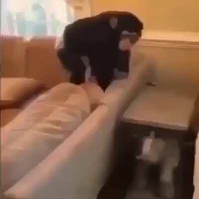 nihilist monky