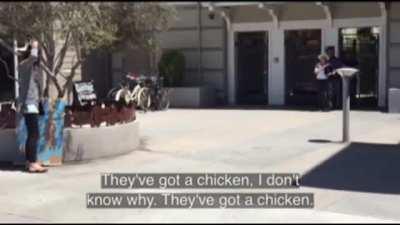 Animal Rights Activists GO FULL KAREN over Dad’s joke