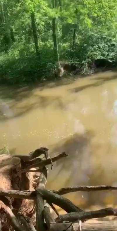 HMC while I take up swinging