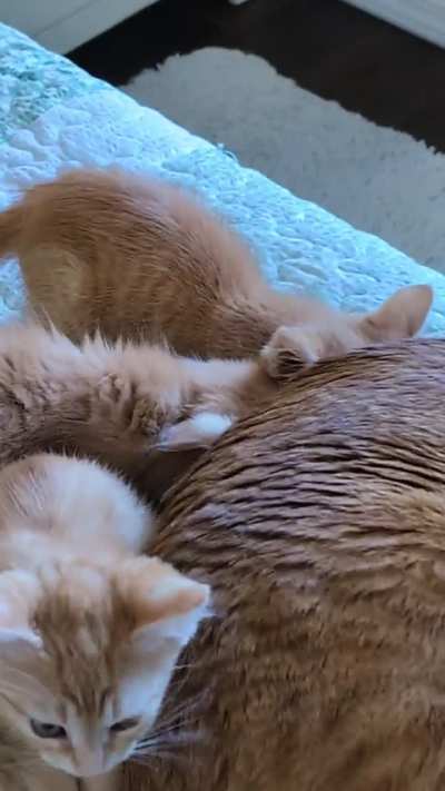 Nursing. You're doing it wrong.