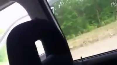 This is what happens when you road rage on a man and put his family in danger - Sweet, sweet car-ma