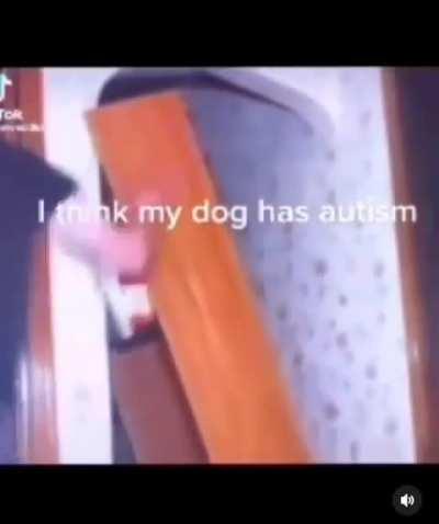 Idk man might wanna take it to the vet