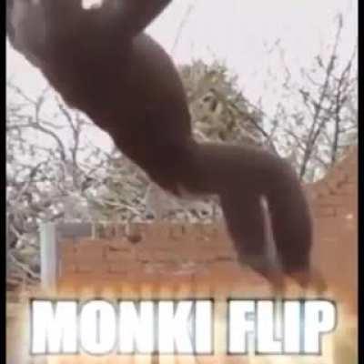 monke