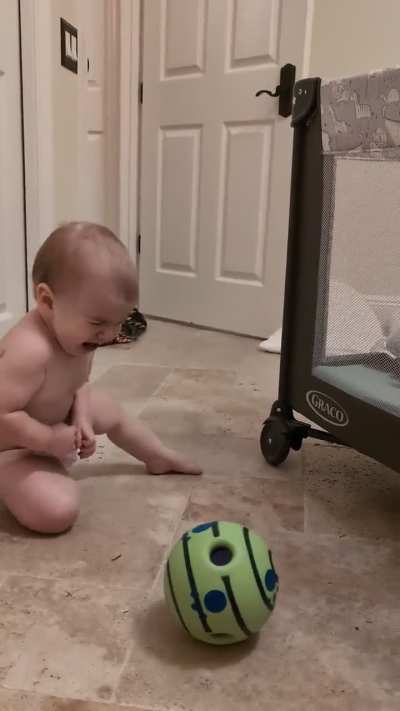 The baby was terrified of the sound making ball