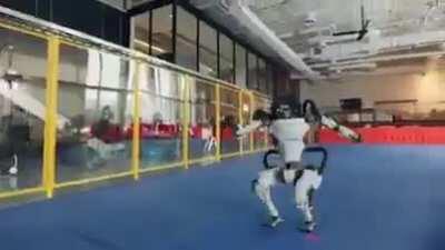 Mi anterior publicacion tiene una cantidad de upvotes que yo haya visto WTF