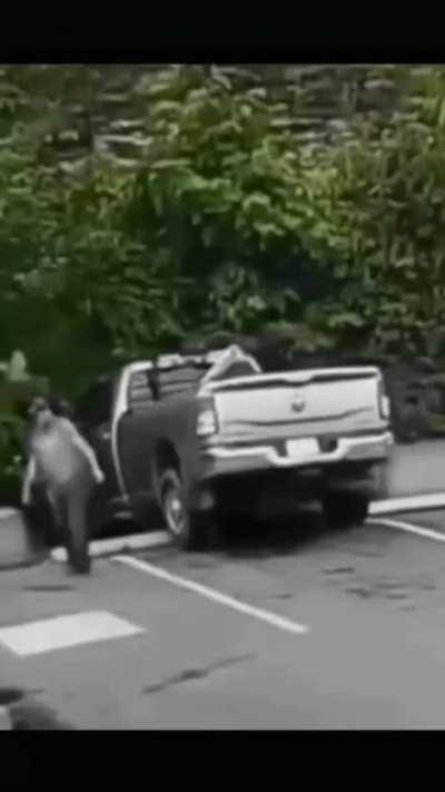 Handbrake Forgetfulness