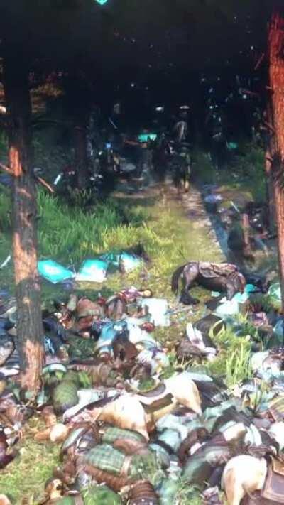 Yelling and screaming to get up the slip n slide. They couldn’t resist.